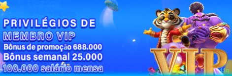 11q Link Oficial
